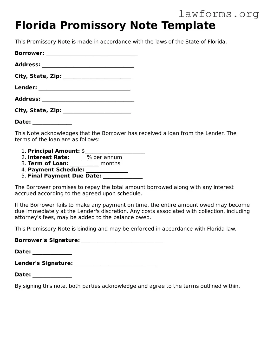 Attorney-Approved Promissory Note Template for the State of Florida