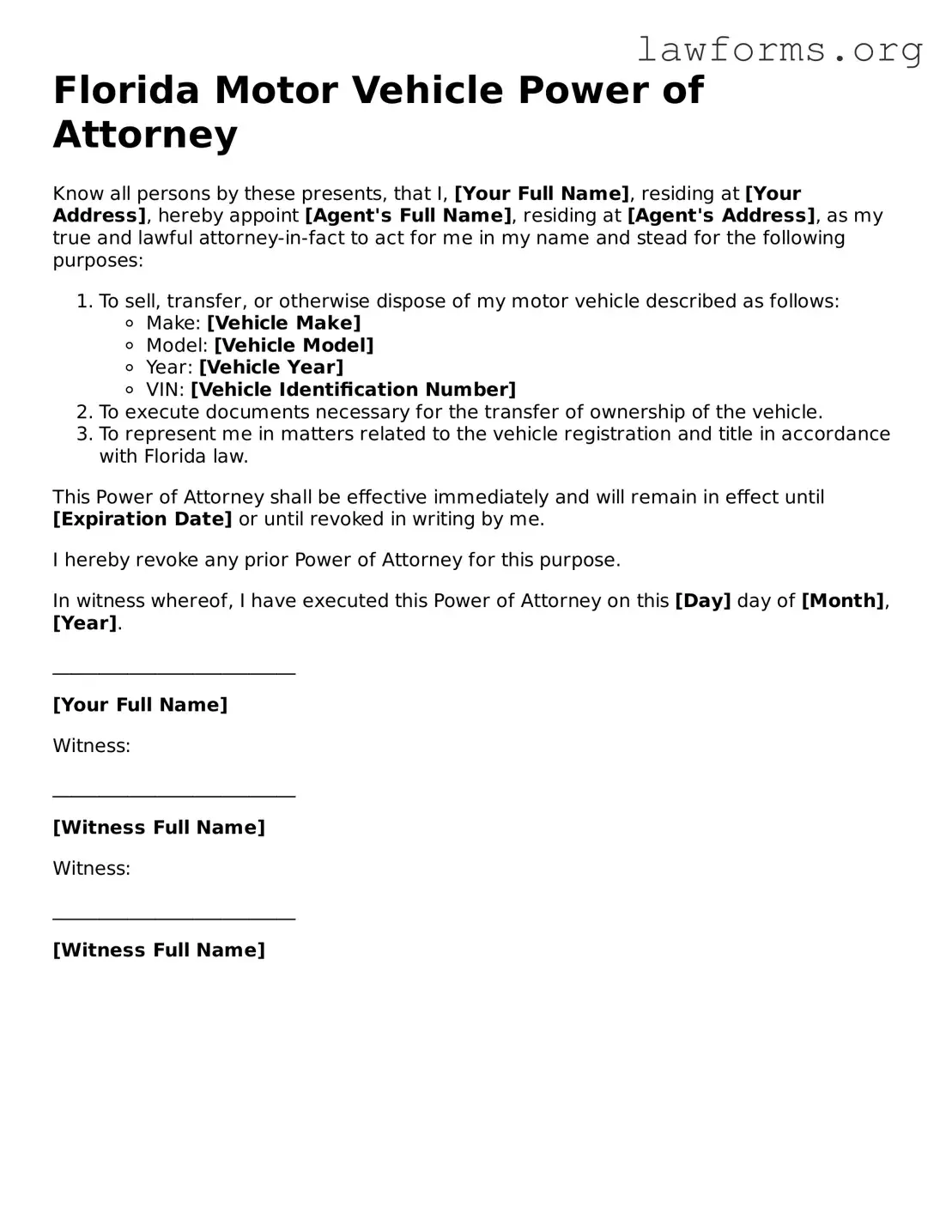 Attorney-Approved Motor Vehicle Power of Attorney Template for the State of Florida