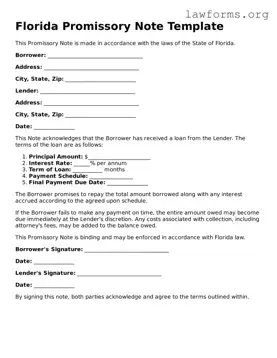 Attorney-Approved Promissory Note Template for the State of Florida