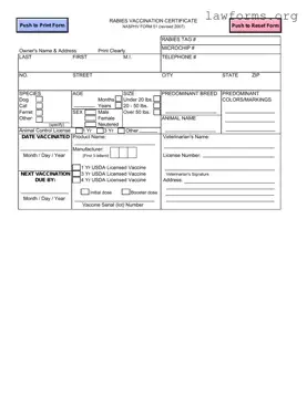 Fill Out a Valid Rabies Certificate Template